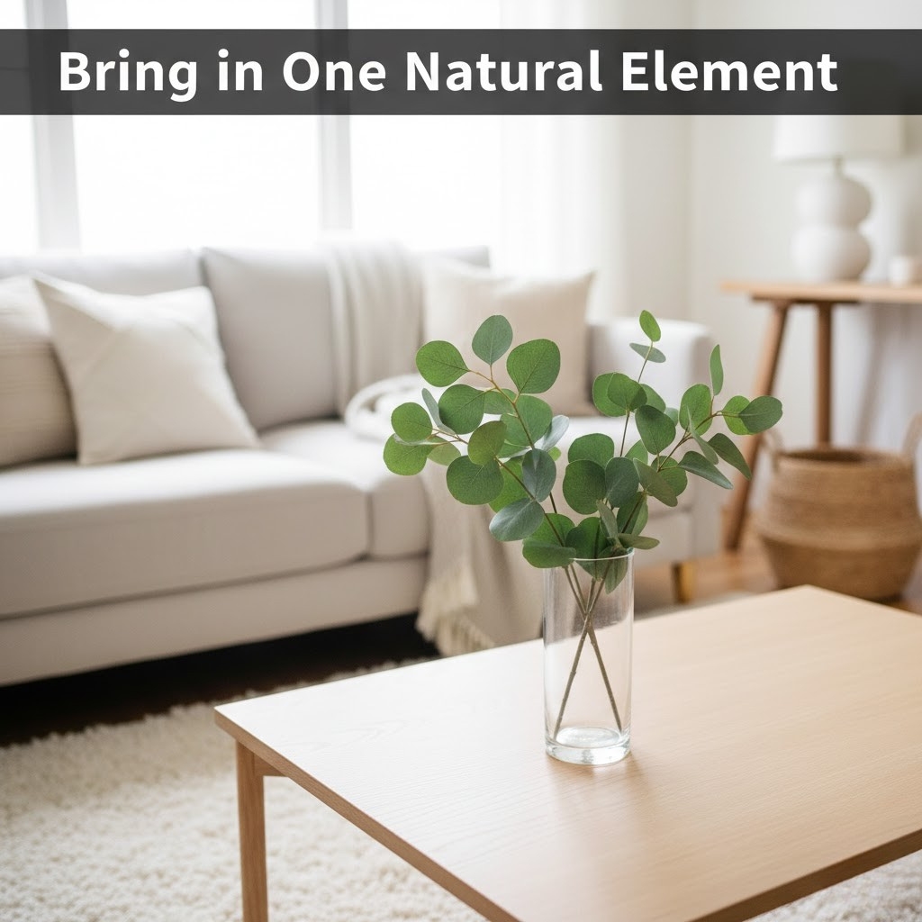 Bring in one natural element